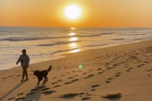Person walking dog along the beach in Portugal at sunset
