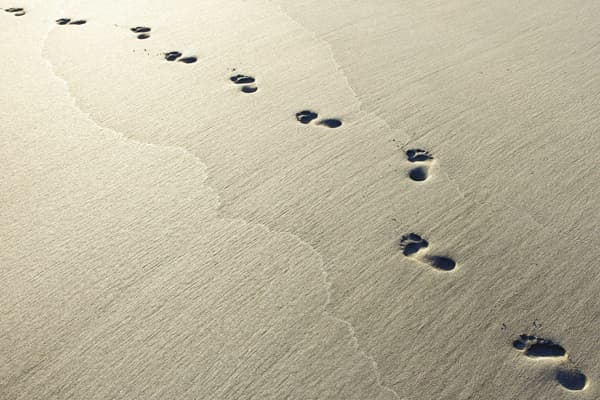 Footprints in wet sand demonstrating life coach lesson to enjoy slow success